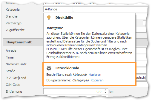 Direkthilfe mit Entwicklerinfo